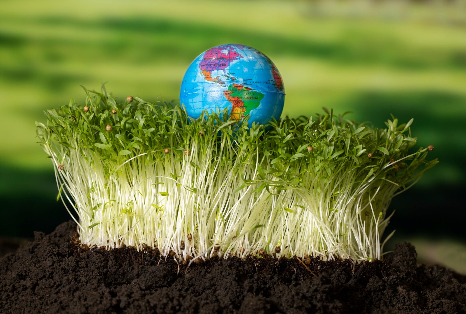 sustainable-development-goals-still-life